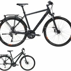 Bulls Street Mover 2019