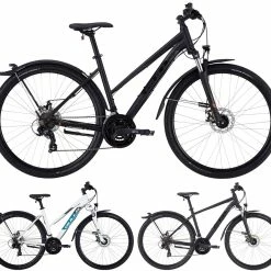 Bulls Wildcross Street 2022