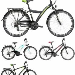 Pegasus Avanti 2018 21-Gang