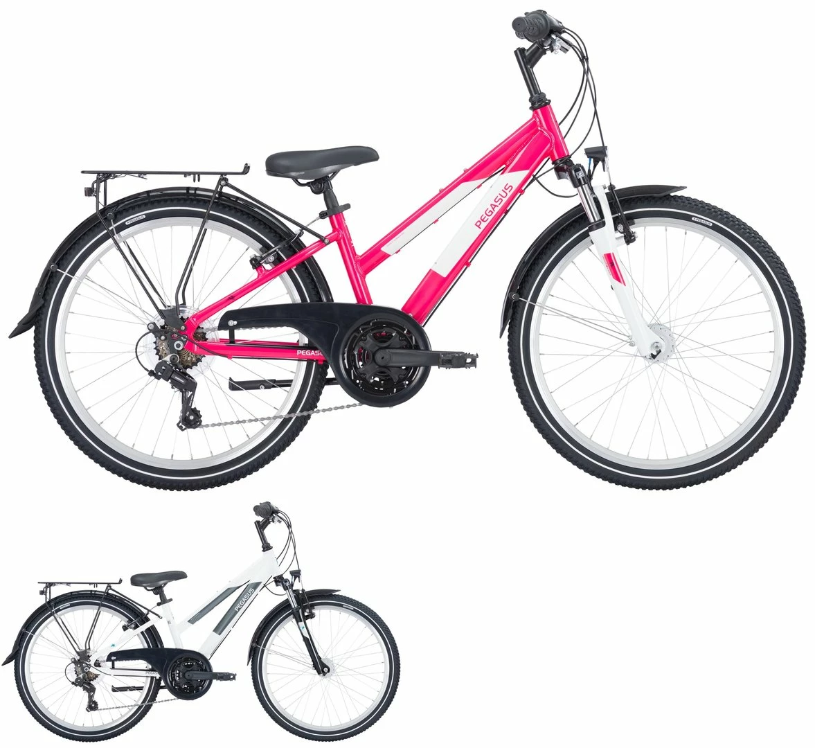 Pegasus Avanti 2023 18-Gang