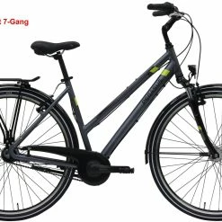 Pegasus Piazza 2020/2021 21-Gang 20 Pegasus Piazza 2020/2021 21-Gang -Teile Verkäufe Pegasus Piazza 2020 21 Gang Damen Trapez grau matt lime 526 00945 00950 00953