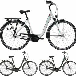 Pegasus Piazza 2020/2021 7-Gang