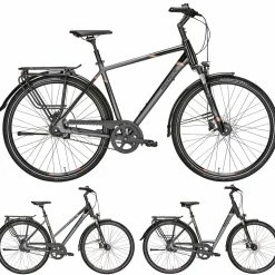 Pegasus Premio SL-Belt 2019 8-Gang