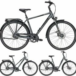 Pegasus Premio SL-Belt 2020-2021 8-Gang