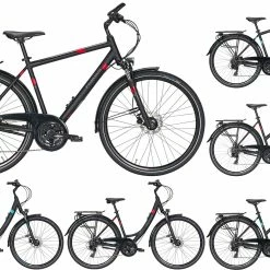 Pegasus Solero-Disc 2020/2021 24-Gang