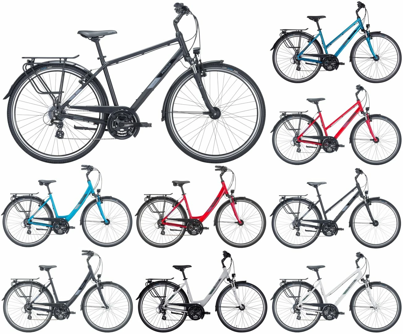 Pegasus Solero SL 2023 24-Gang