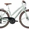 Pegasus Solero-Superlite Disc 2020/2021 24-Gang -Teile Verkäufe Pegasus Solero Superlite 24 Gang 2020 2021 Damen Trapez sage green 526 27545 526 27550